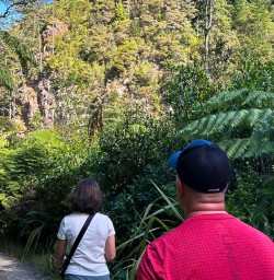 Hike Karangahake Gorge 11FEB25