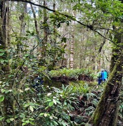 Hike Kepler Track 01APR25