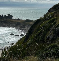 Hike New Zealand West Coast 03FEB25