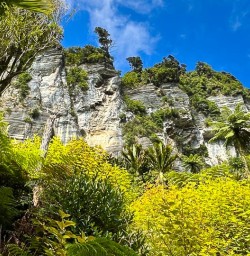 Hike Paparoa 03FEB25