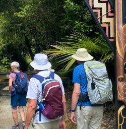 Hike Paparoa National Park 03FEB25