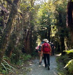 Hike Paparoa National Park G10MAR25