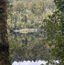 Hike Paparoa National Park lake 03FEB25