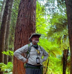 Hike Redwoods forest 18FEB25