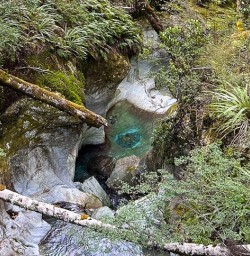 Hike Routeburn Track 16MAR25