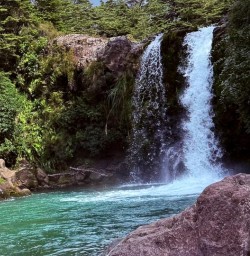 Hike Tawhai falls New Zealand 25FEB25