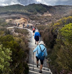 Hike Tongariro National Park 25FEB25