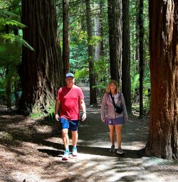 Hike Whakarewarewa Forest 11FEB25