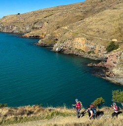 Hike in Godley Heads R03MAR25