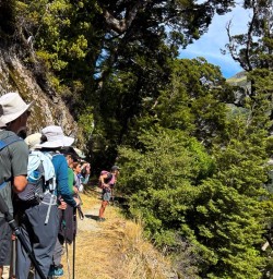 Hike in Mount Aspiring 10FEB25