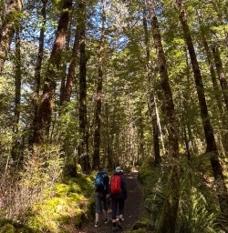 Hike the Milford Track 25FEB25