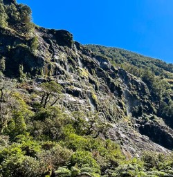 Hike the Milford Track GW09JAN25