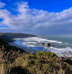 Hike the West Coast New Zealand 17FEB25