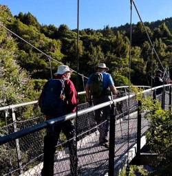 Hiking Egmont National Park 03MAR25