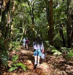 Hiking Egmont National Park 17FEB25