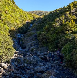 Hiking in Egmont National Park 03MAR25