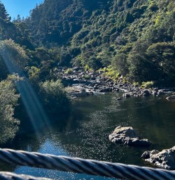 Hiking in Karangahake gorge 04MAR25