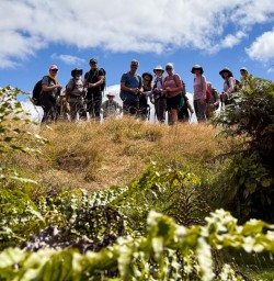 Hiking the Matahuru track 03MAR25