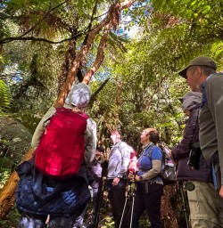 Hiking the Milford Track G03MAR25