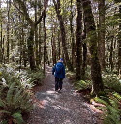 Hiking the Routeburn Track 25FEB25