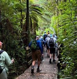 Hiking tour Pureora Forest 03MAR25