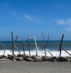 Hokitika beach RM03NOV25