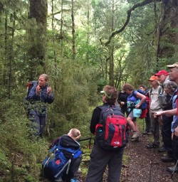 Hollyford Track Guided Walking
