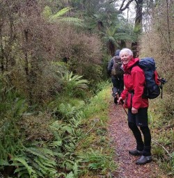 Hollyford Valley Hiking