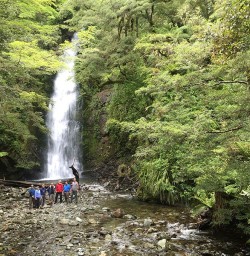 Hiking Group at Homer Falls