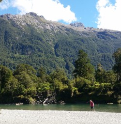 Hollyford Valley