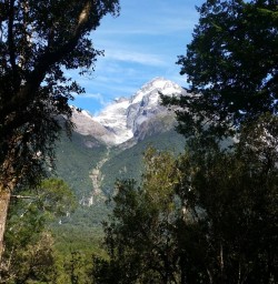 Hollyford Track Views