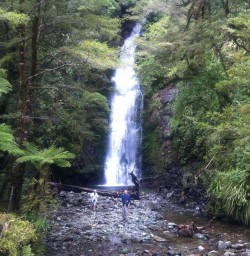 Hollyford Track Little Homer Falls