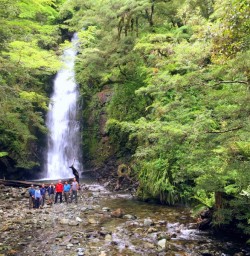 Hiking Gropu at the Homer Falls on the Hollyford Track