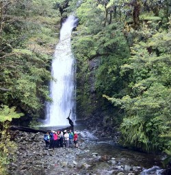 Hiking group by waterfall and rainforest on the Hollyford Track
