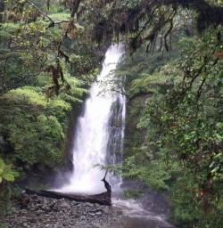 Hollyford Track Waterfall