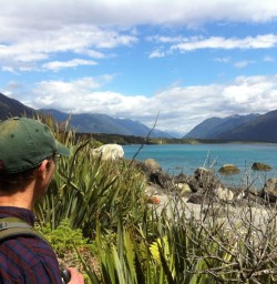 Hikers looking up the Hollyford Valley from Martins Bay