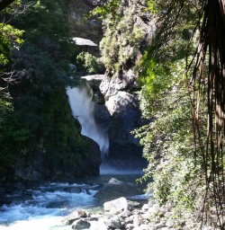 Hidden Falls on the Hollyford Track