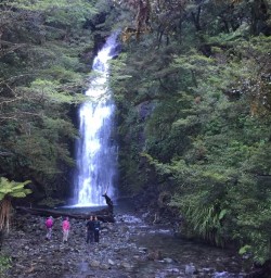 Homer Falls