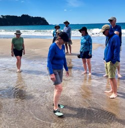 Hot Water Beach guided tour 04MAR25