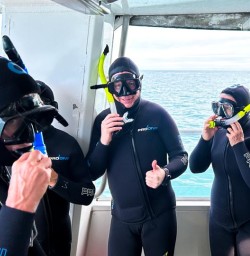 Kaikoura K24MAR25