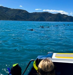 Kaikoura New Zealand G10MAR25