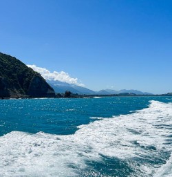  Kaikoura Peninsula 10FEB25