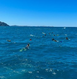 Kaikoura coastline 10FEB25