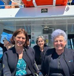 Kaikoura dolphin cruise 10FEB25