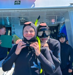 Kaikoura dolphin experience 10FEB25