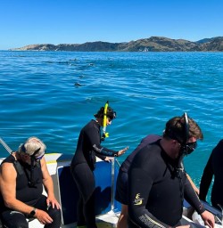 Kaikoura dolphin tour G10MAR25