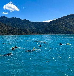 Kaikoura experience G10MAR25