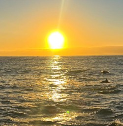 Kaikoura sunrise M10MAR25