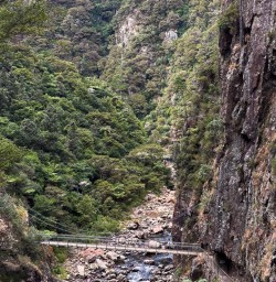 Karangahake Gorge 04FEB25