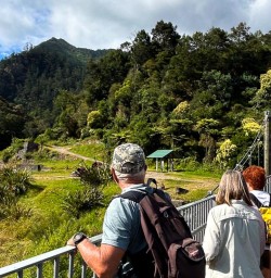 Karangahake Gorge brige 210125